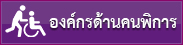 ระบบฐานข้อมูลองค์กรด้านคนพิการ